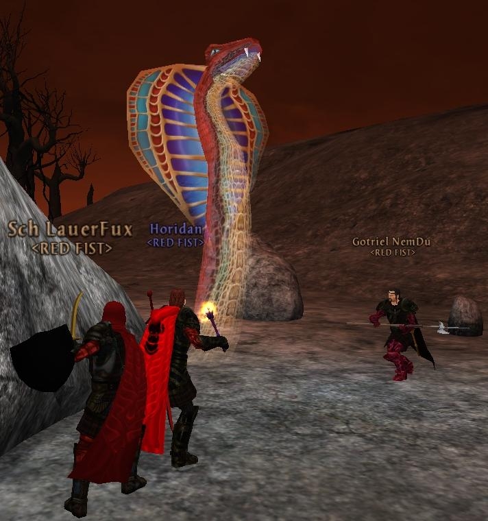 Februar 2006 - Arte Raid - 3