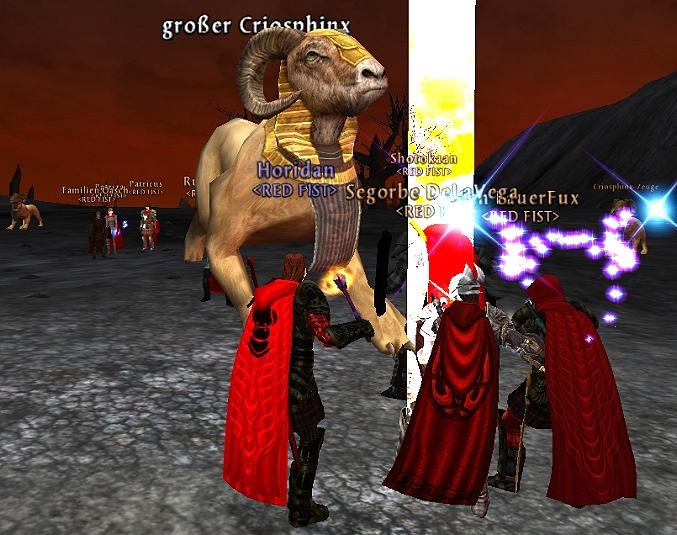 Februar 2006 - Arte Raid - 4