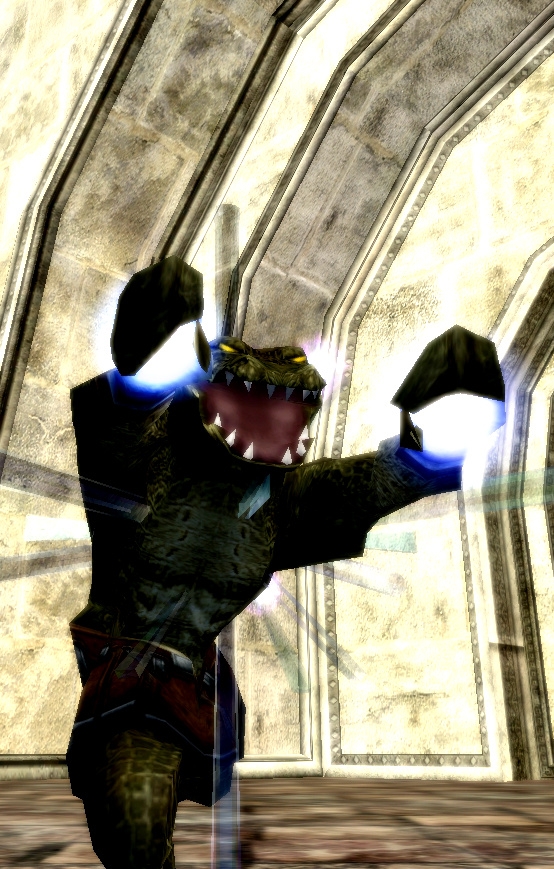 SKY IS OVER - Gondwana